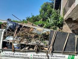 Best Recycling Services for Junk  in Shelburn, IN