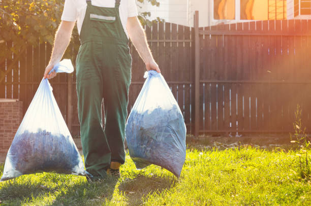 Best Shed Removal  in Shelburn, IN